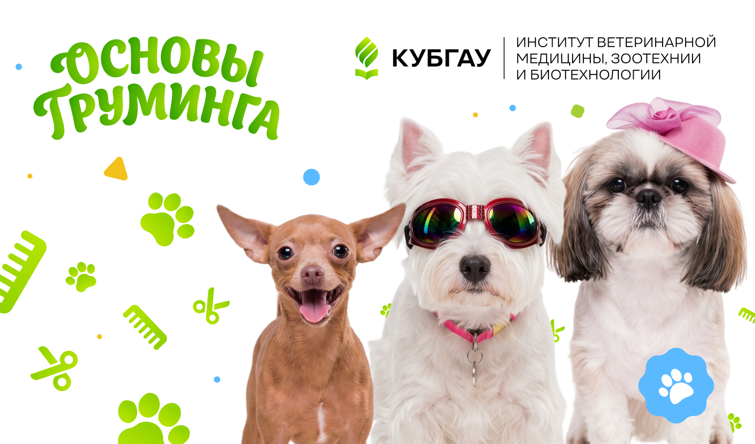 Основы груминга