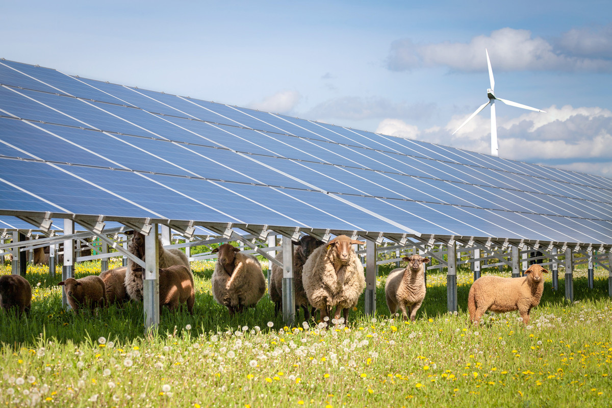Расчет и выбор установок возобновляемой энергии для тепло и электроснабжения фермерских хозяйств и частных домовладений для сельских территорий Краснодарского края