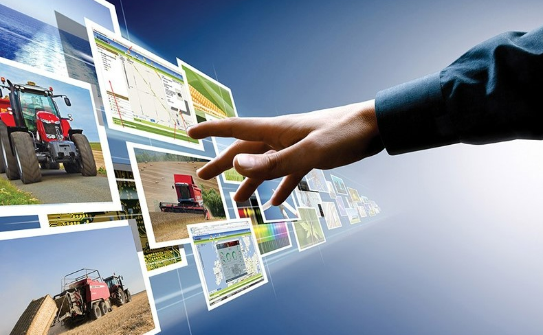 Менеджмент устойчивого развития сельских территорий