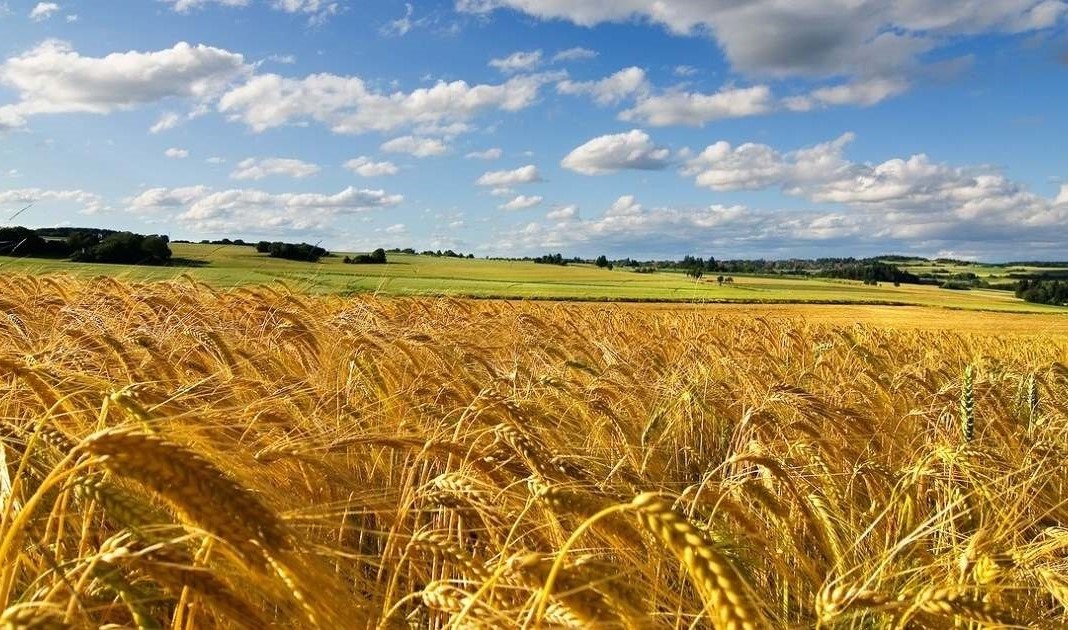 Образовательная школа «АгроЭко»