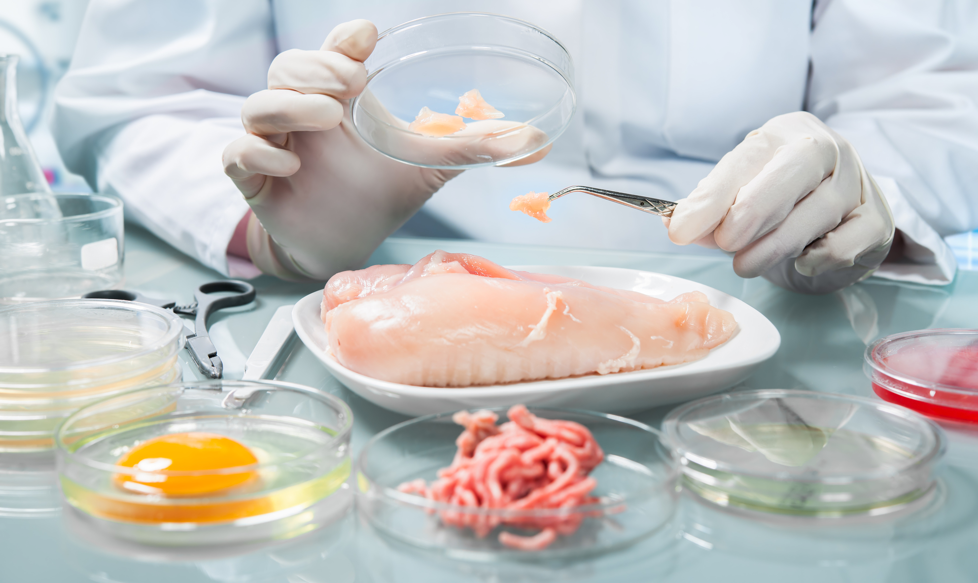 Ветеринарно-санитарная экспертиза